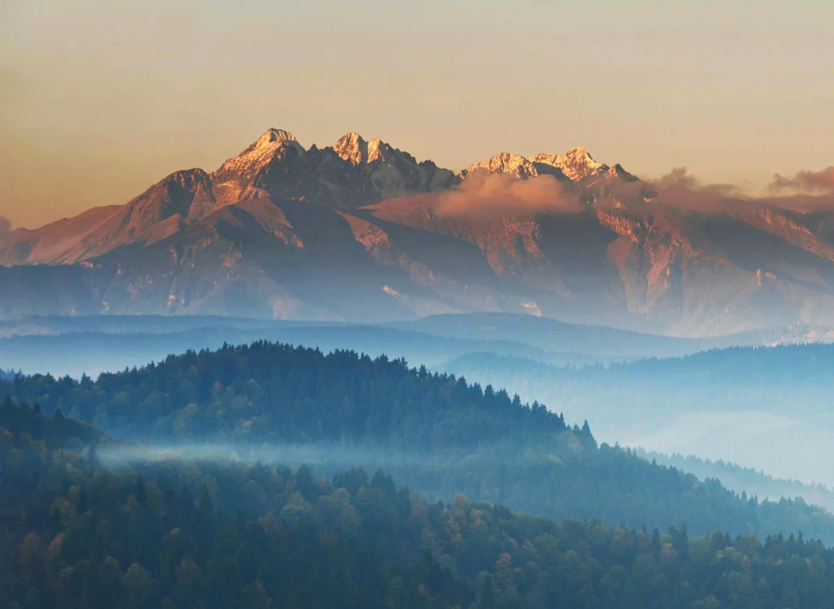 Japandi: Harmonia Wschodu i Zachodu w Twoim Wnętrzu