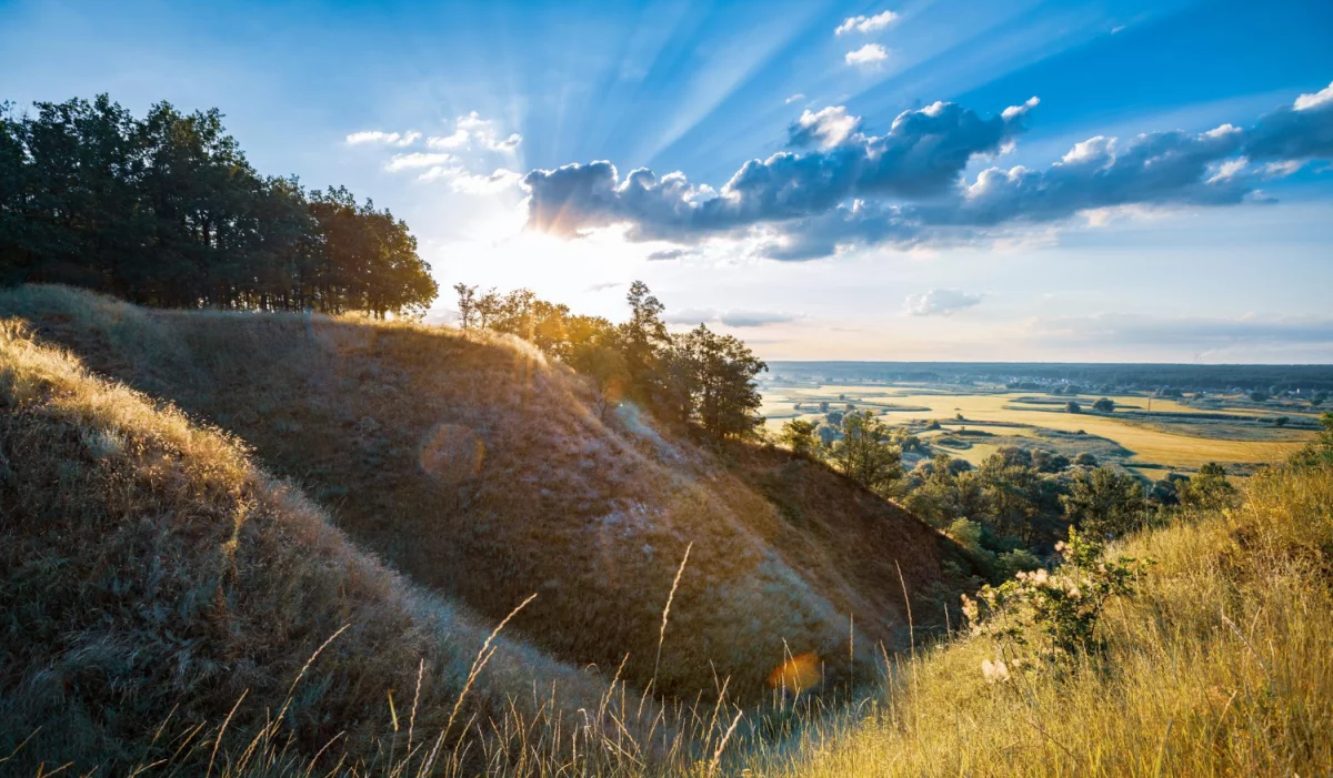 Przewodnik po technologii RTV: Odkryj, jakie innowacje oferuje sprzęt RTV