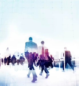 Tworzenie bezpiecznego i pięknego ogrodu: Porady i inspiracje dla miłośników zieleni