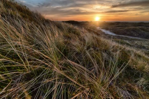 Ślad Wodny: Jak Oceniać Nasz Wpływ na Zasoby Wodne