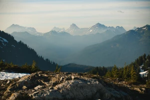Stomatolog Cieszyn - Twoje zdrowie i piękny uśmiech w profesjonalnym wykonaniu